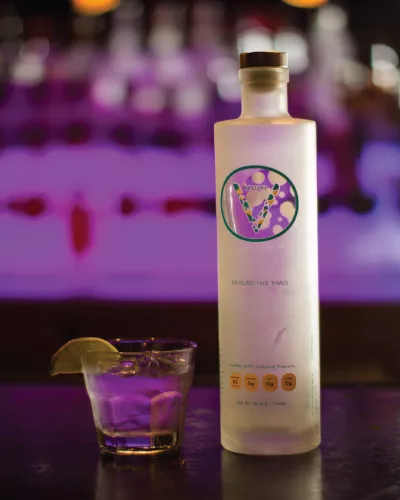 Behind the Scenes: Crafting the VITA-V Brand Experience